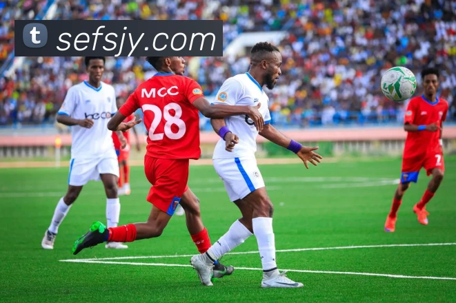 星空体育官网平台生态图