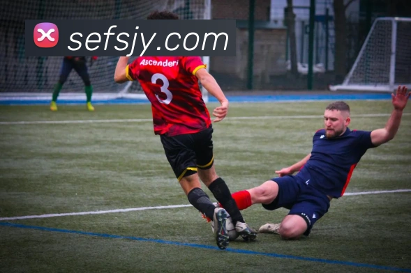 星空体育官网APP 封面图